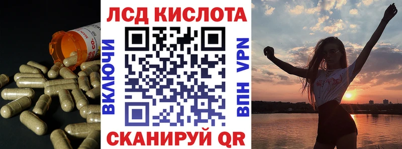 дарнет шоп  Калач  Лсд 25 экстази ecstasy 